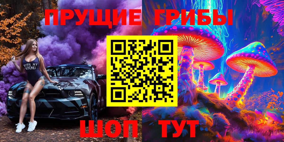Галлюциногенные грибы Magic Shrooms  Псилоцибиновые грибы GOLDEN TEACHER  магазин продажи   Вход с VPN  Моздок 
