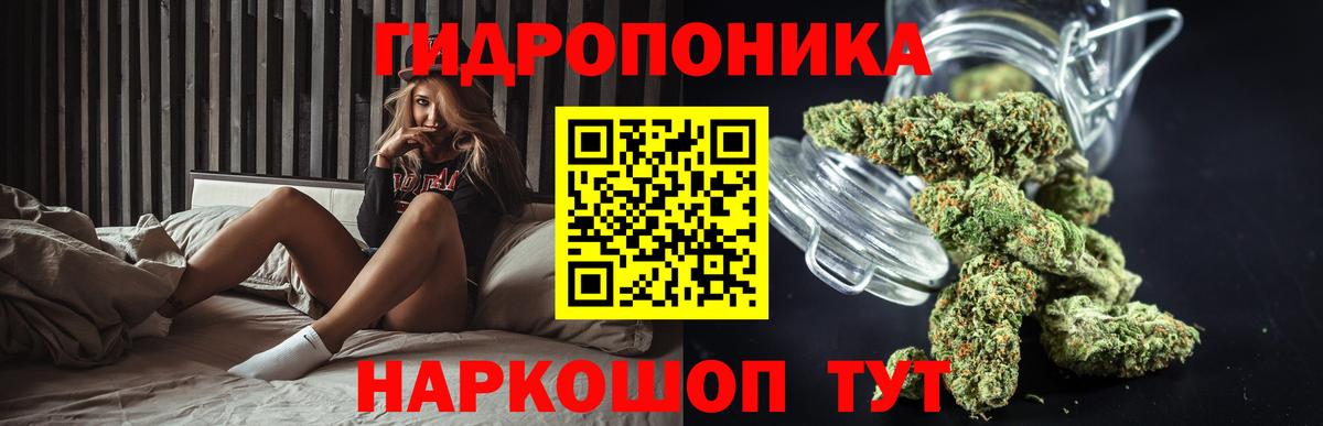 Бошки марихуана MAZAR  МАРИХУАНА MAZAR  Вход с VPN  Моздок  Шишки марихуана Ganja 